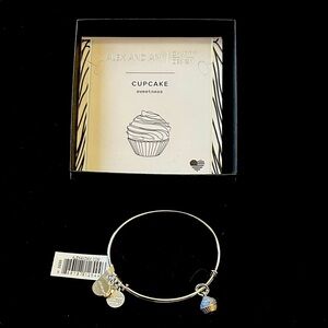 Alex and Ani Silver Cupcake Charm Bracelet